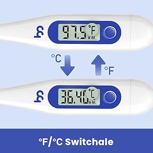 Thermometer for Adults