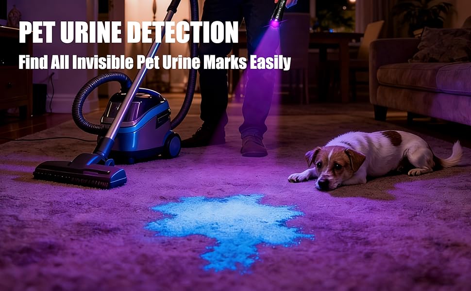 PET URINE DETECTION