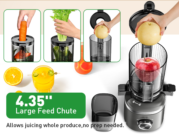 Slow Cold Press Juicer