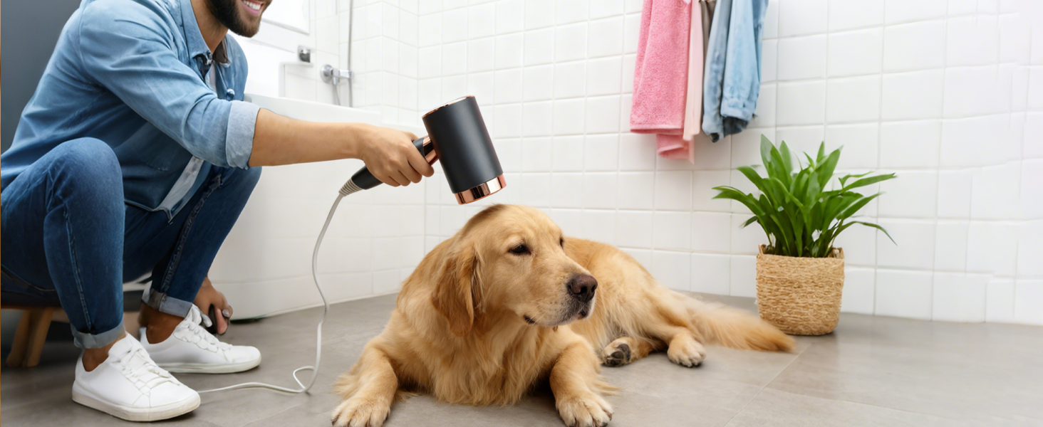 dog blow dryer