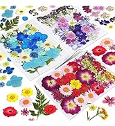 CONVELIFE Dried Flowers for Resin, 120pcs Natural Flowers and Leaves Compressed, Vacuum Packed DI...