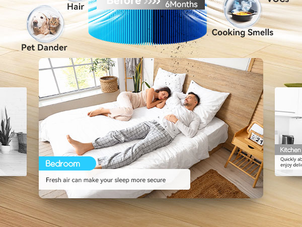 blueair 211i max filter