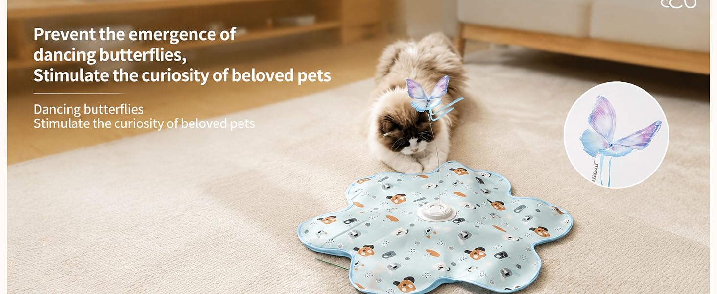 cat toy