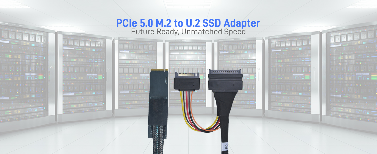 LetLinkSo Gen5 PCIe 5.0 U.2 to M.2 Adapter Card SFF-8639 to M2 NVMe SSD Cable