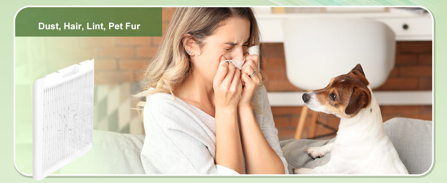 air purifier