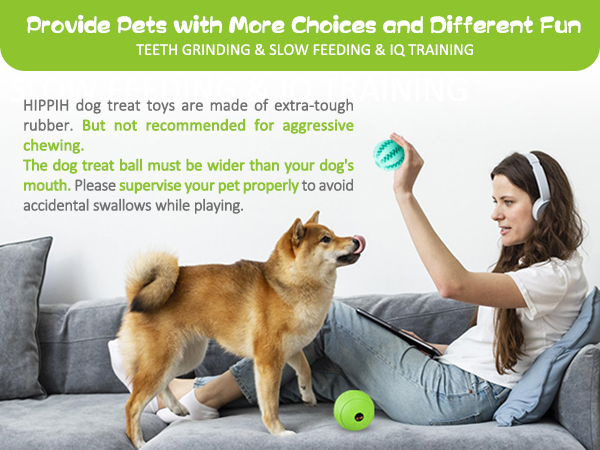 dog treat puzzle 