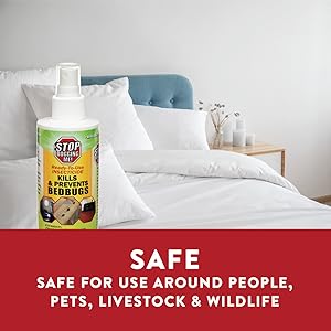 Safe