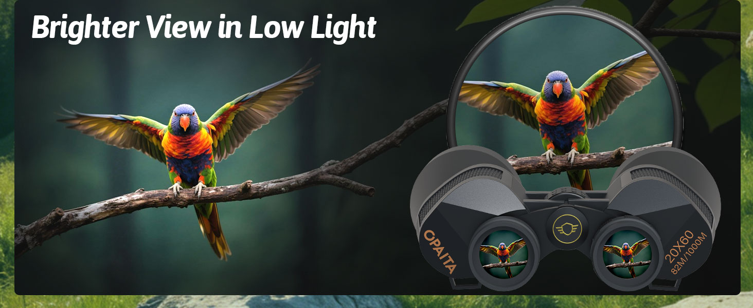hunting binoculars