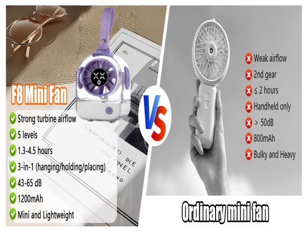 lash fan