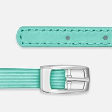 a buckle 