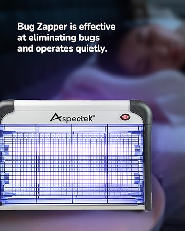 Bug