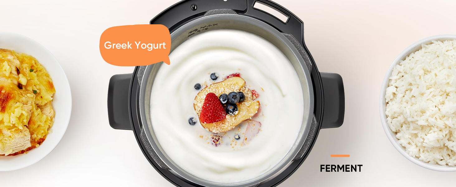 The ferment function can do more than yogurt, and support to adjust temperature within 77? and 356?.