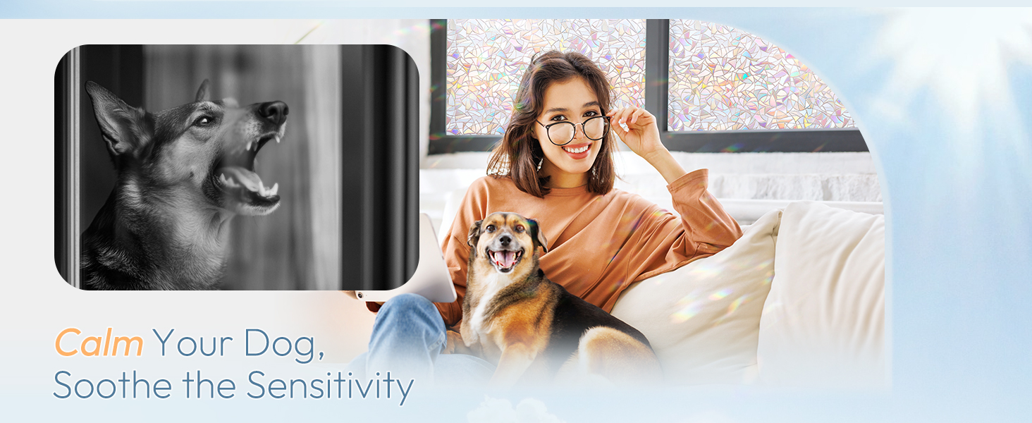 dog no barking window film