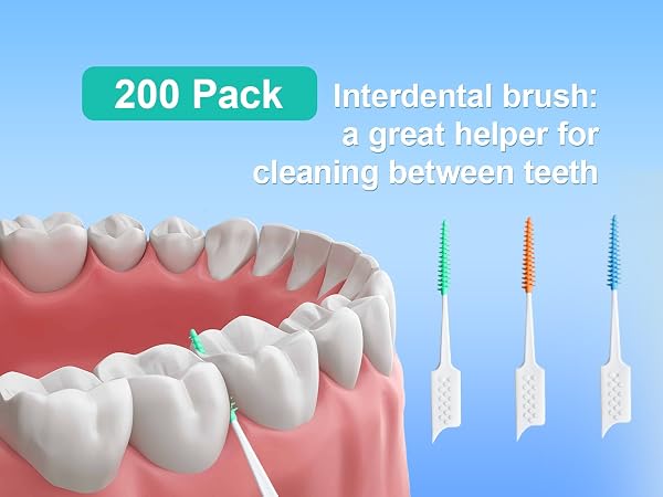 INTERDENTAL BRUSHES-DD