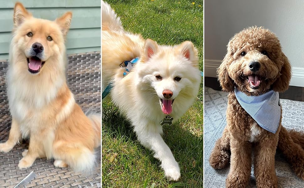 deshedding dog brush cat brush for shedding sleek ez dog brush slicker brush for dogs dog grooming