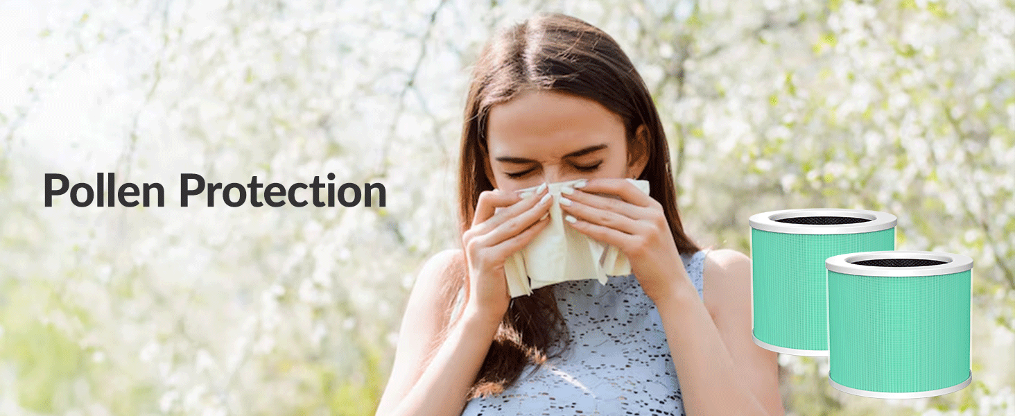 air purifiers for home