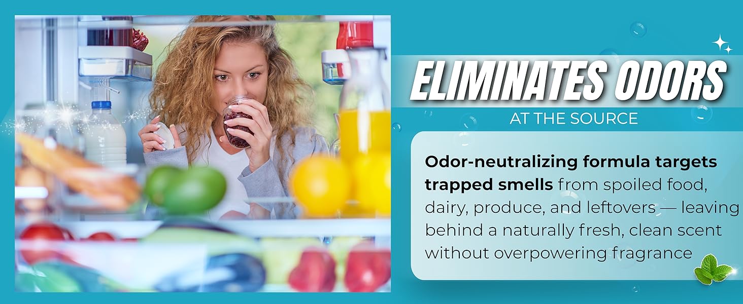 Fridge Cleaner refrigerator cleaner inside