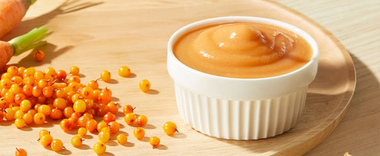 blender for shakes and smoothies