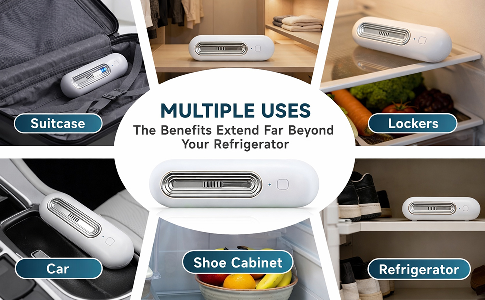 Reusable Fridge Odor Eliminator for Fridge