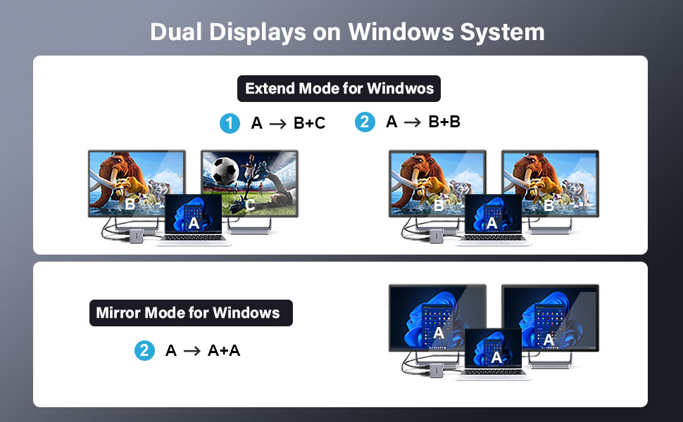 Dual displayport adapter