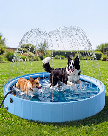 dog pool