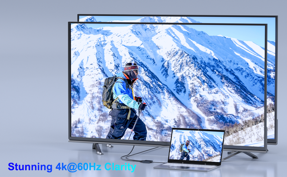 dual monitor adapter