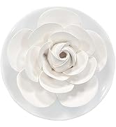 Passive Diffuser for Essential Oil-Ceramic Diffuser Non Electric Oil Diffusers for Small Mini Roo...