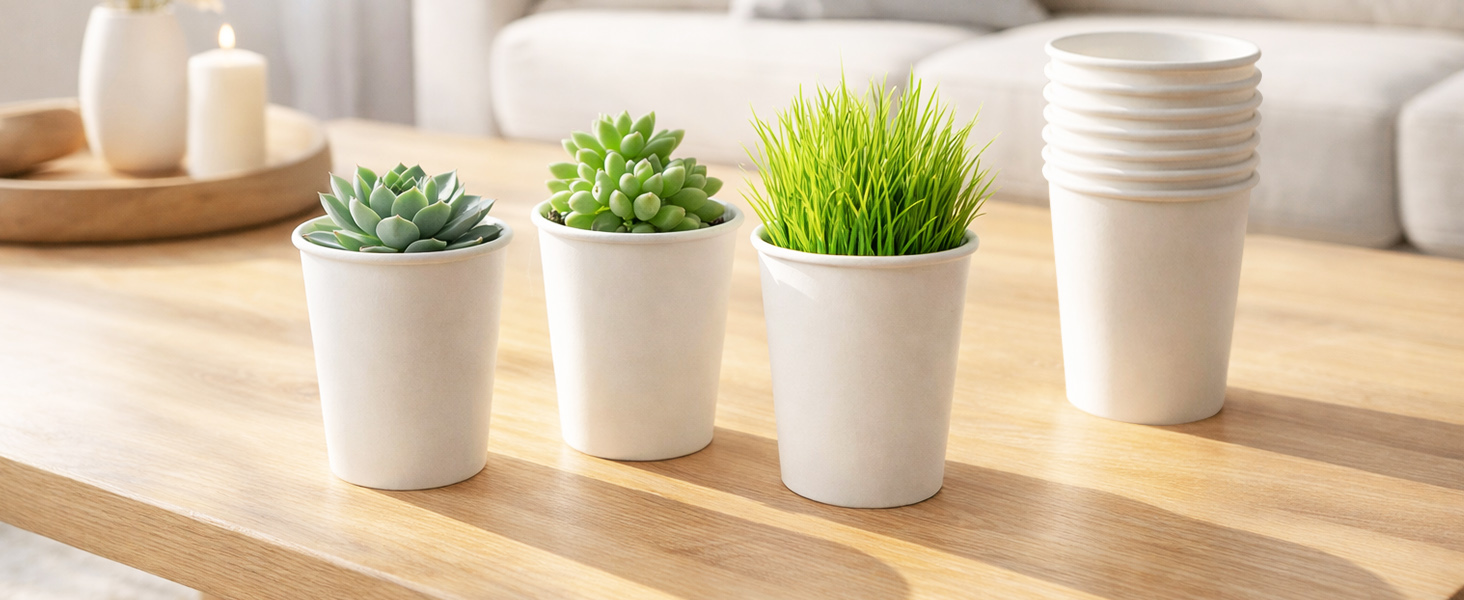 Disposable Paper Cups
