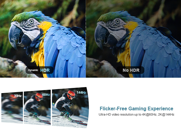 a picture of a parrot with a blue and yellow face.