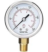 SENCTRL 200 Psi Pressure Gauge, 2