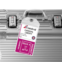 8-Pack Luggage Tag