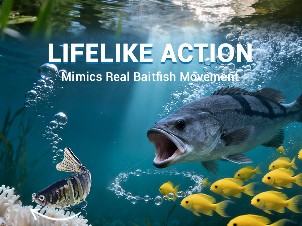 fishing lures saltwater