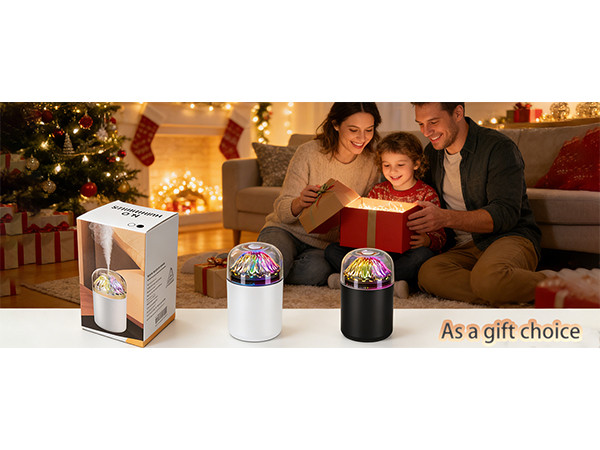 This mini humidifier is suitable for your home, work, or as a gift