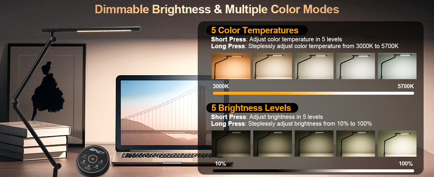 RGB Dual Light