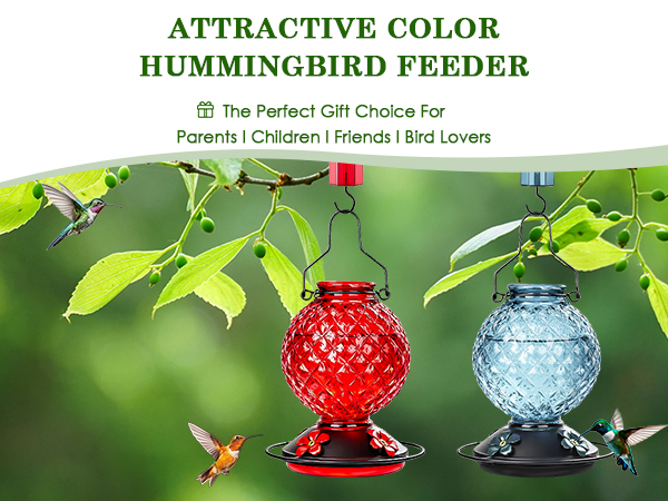 Glass Hummingbird Feeder