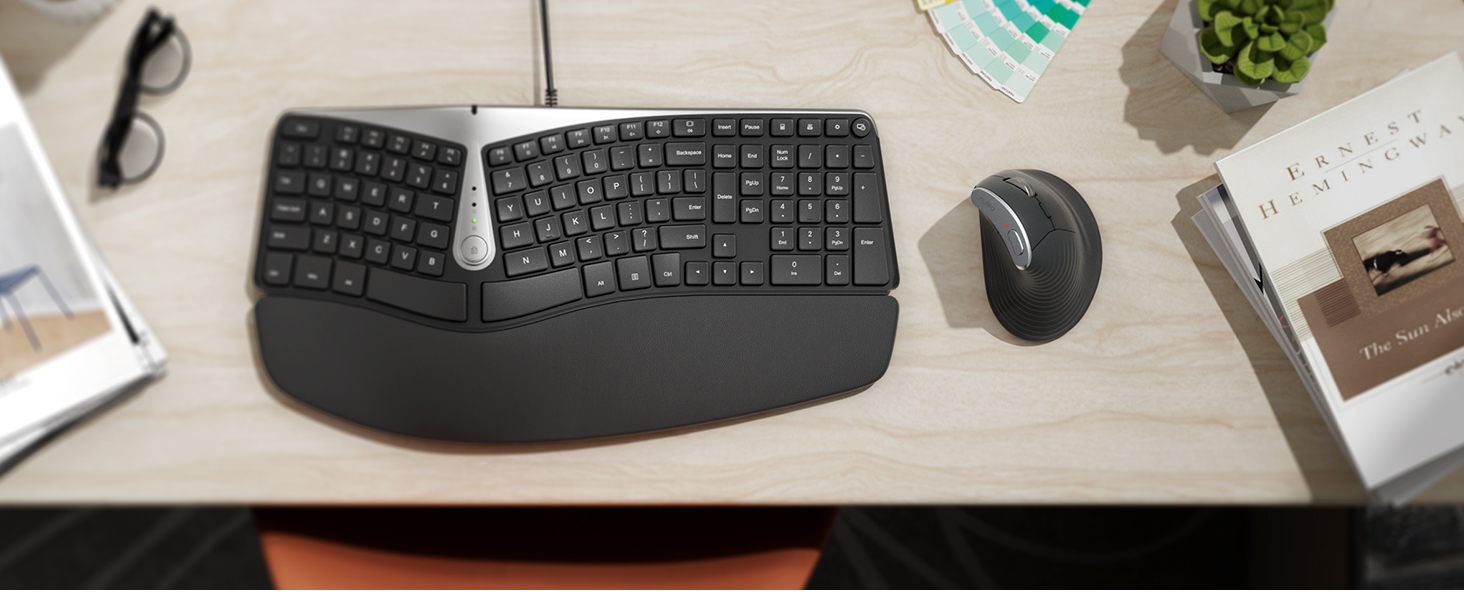 mouse