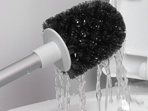 Toilet Brush