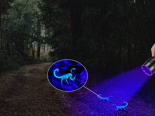 uv light for scorpion