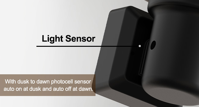 Night Lights Plug into Wall