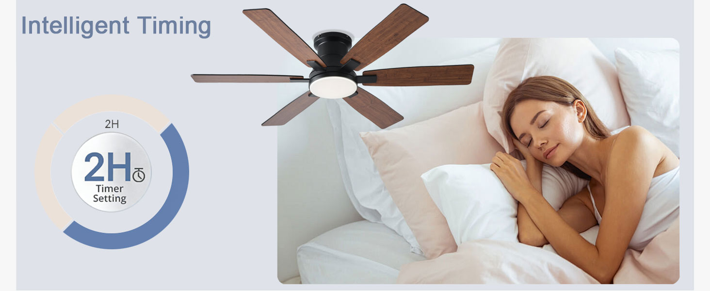 Ceiling Fans with Lights