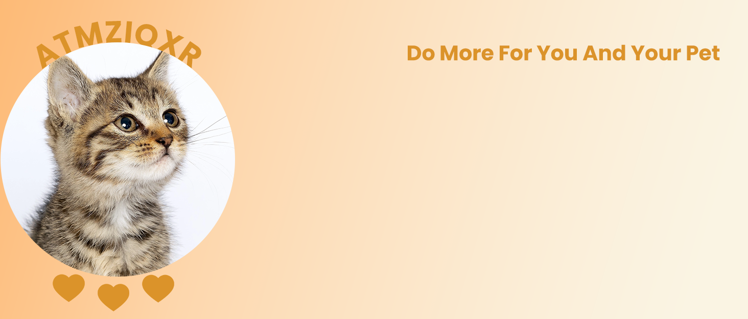 cat water fountain cat fountain pet water fountain water fountains for cats indoor pet fountain