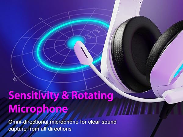 Sensitivity microphone