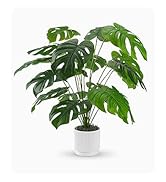 fake plant