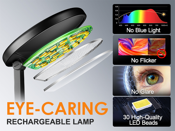 Battery Operated Lamp