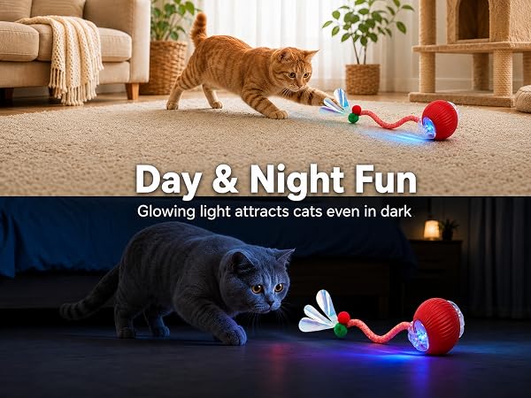 cat toys for indoor cats