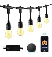 HBN 96ft Outdoor String Lights-Smart Outside String Lights-30 LED Bulbs Dimmable &amp; Shatterproof, ...