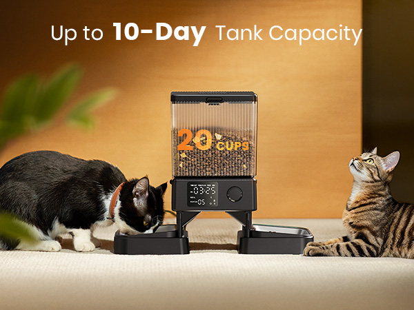 automatic cat feeder