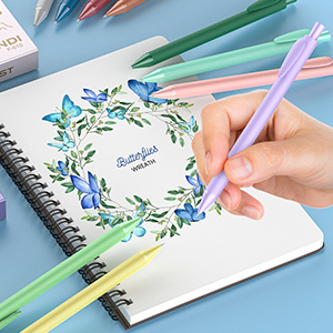 pure color ballpoint pen