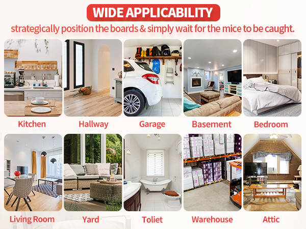 EASY TO ASSEMBLE READY TO USE