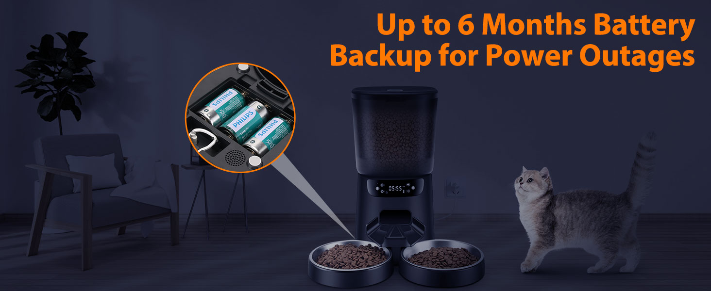 automatic cat feeder 2 cats